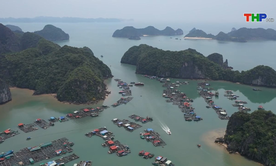 Đến Hải Phòng, đi lòng vòng: Làng chài Cái Bèo - Ngôi làng cổ tại Cát Bà