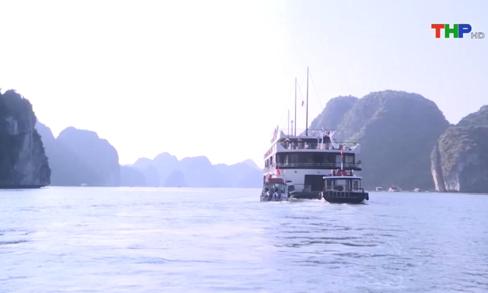 Bản tin tiếng Trung (05/04/2025)