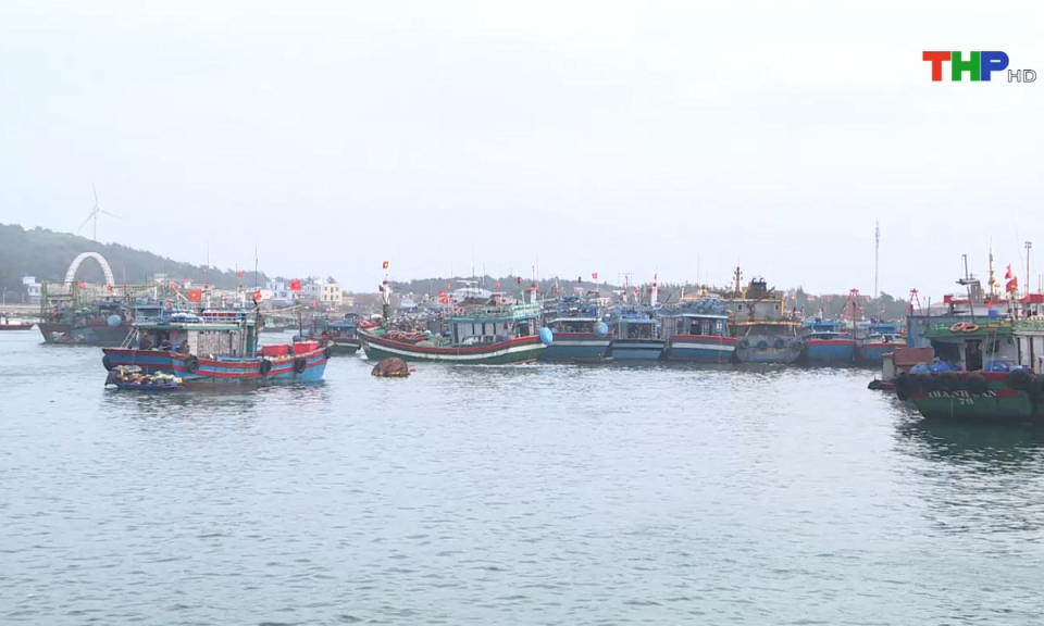 Bản tin thời sự tối (08/04/2025)