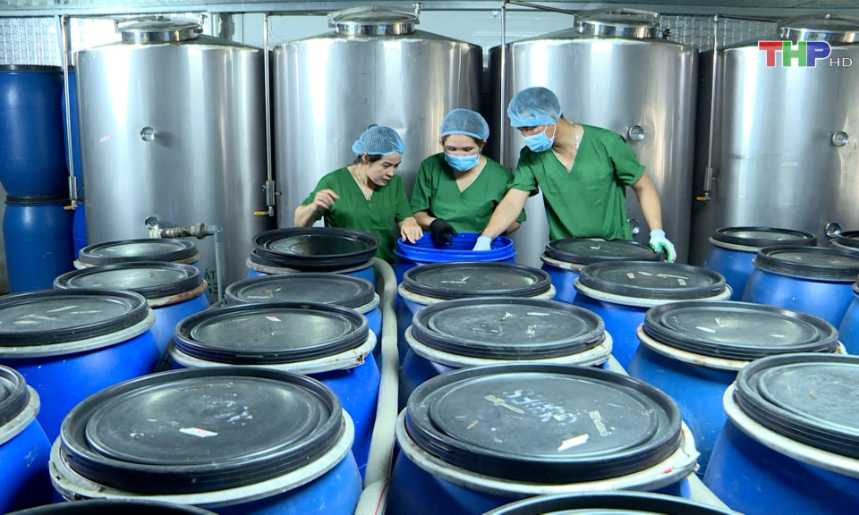 Ph&aacute;t huy hiệu quả của Trạm Khai th&aacute;c th&ocirc;ng tin v&agrave; Dịch vụ sở hữu c&ocirc;ng nghiệp Hải Ph&ograve;ng