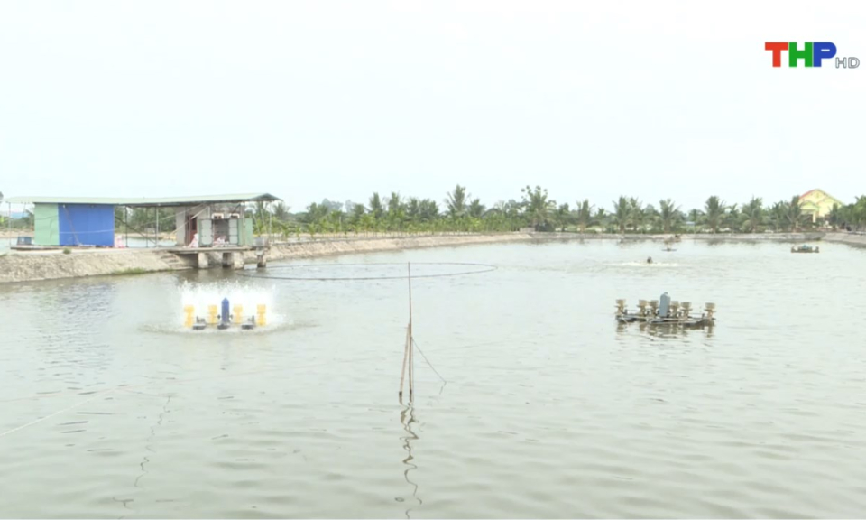 10 ph&uacute;t v&agrave;ng (09/04/2025)