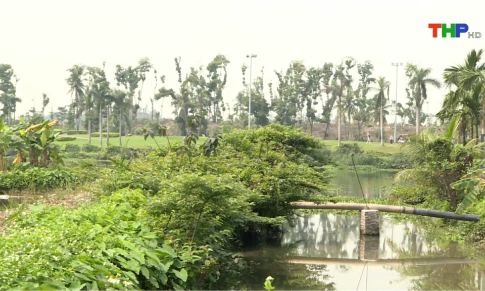 10 ph&uacute;t v&agrave;ng (10/04/2025)