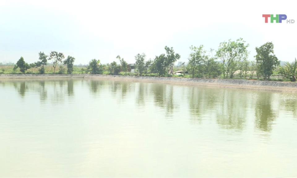 Bản tin thời sự trưa (11/04/2025)