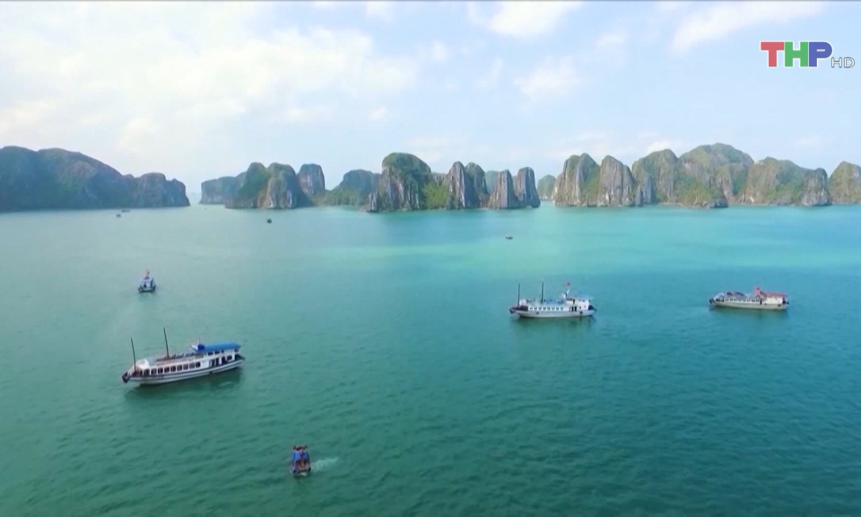 Ph&aacute;t triển du lịch du thuyền tại C&aacute;t B&agrave;