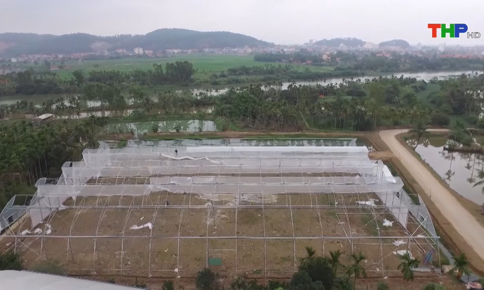 N&ocirc;ng th&ocirc;n mới Hải Ph&ograve;ng: Ph&aacute;t triển n&ocirc;ng nghiệp xanh trong bối cảnh c&ocirc;ng nghệ số