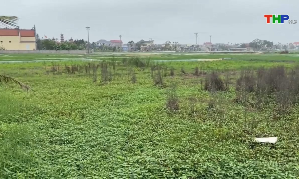 Ph&aacute;p luật v&agrave; cuộc sống: Ki&ecirc;n quyết xử l&yacute; dứt điểm c&aacute;c c&ocirc;ng tr&igrave;nh vi phạm về đất đai