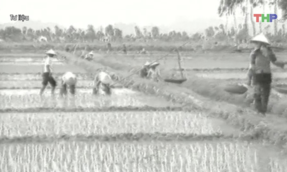 N&ocirc;ng nghiệp Hải Ph&ograve;ng: 70 năm ph&aacute;t triển