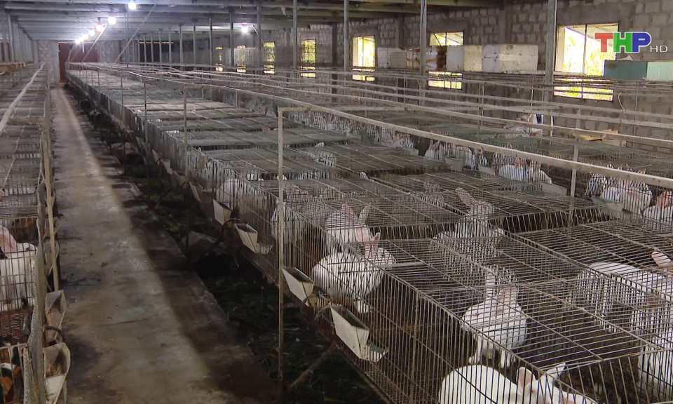 Ph&aacute;t triển c&aacute;c m&ocirc; h&igrave;nh n&ocirc;ng nghiệp tuần ho&agrave;n