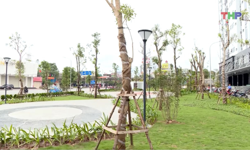Bản tin thời sự trưa (20/04/2025)