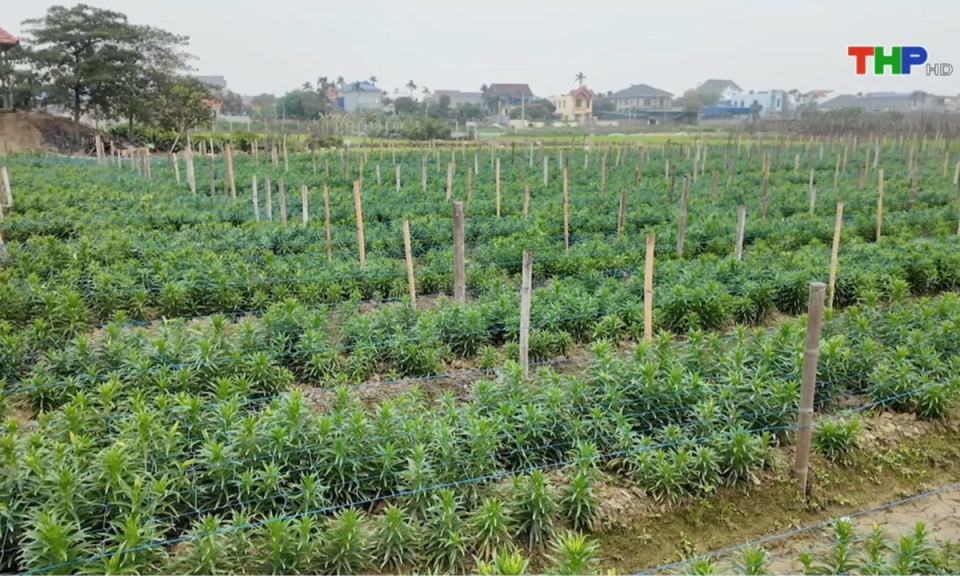 Bản tin thời sự sáng (25/04/2025)