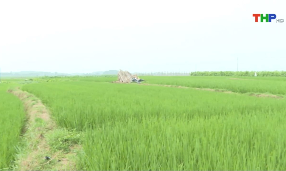 Bản tin Hải Ph&ograve;ng kết nối (25/04/2025)