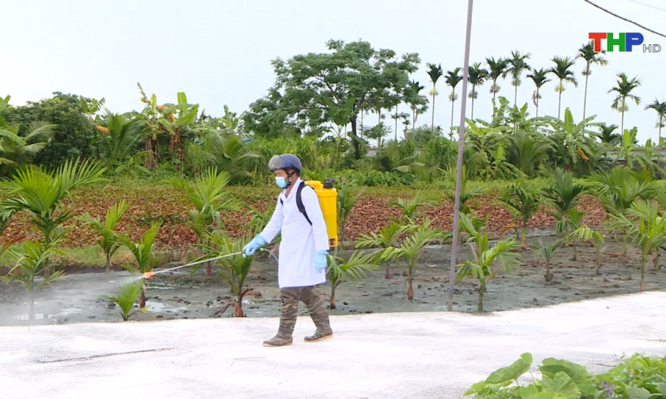 N&ocirc;ng th&ocirc;n mới Hải Ph&ograve;ng: Chủ động giải ph&aacute;p ph&ograve;ng chống dịch bệnh tr&ecirc;n đ&agrave;n gia s&uacute;c, gia cầm