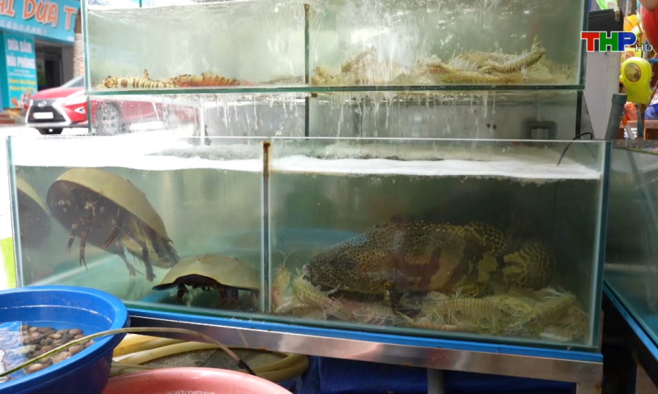 Đến Hải Phòng, đi lòng vòng: Ẩm thực Cát Bà
