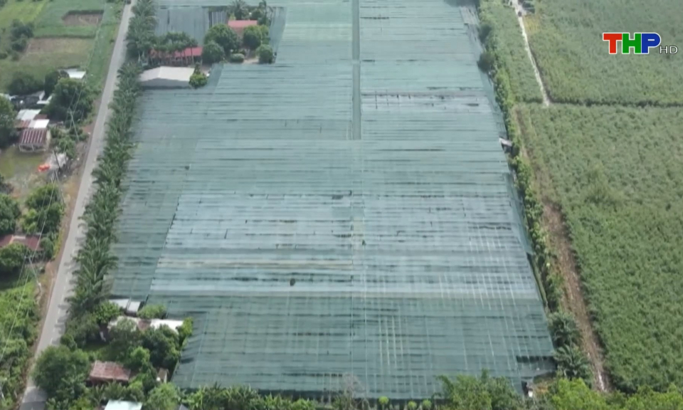 Củ Chi - Huyền thoại đất th&eacute;p 