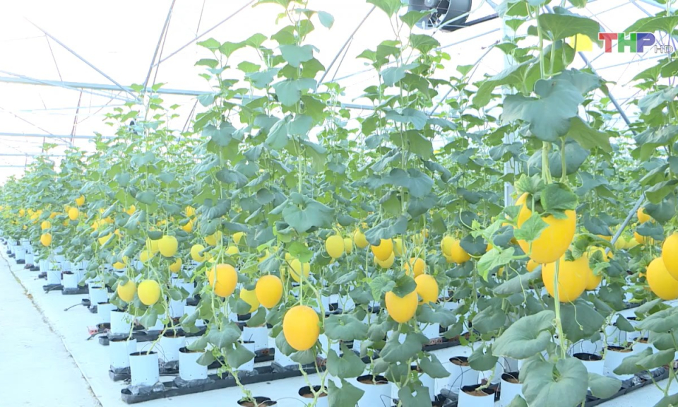 Bản tin thời sự trưa (02/05/2025)