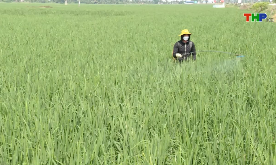 10 ph&uacute;t v&agrave;ng (02/05/2025)