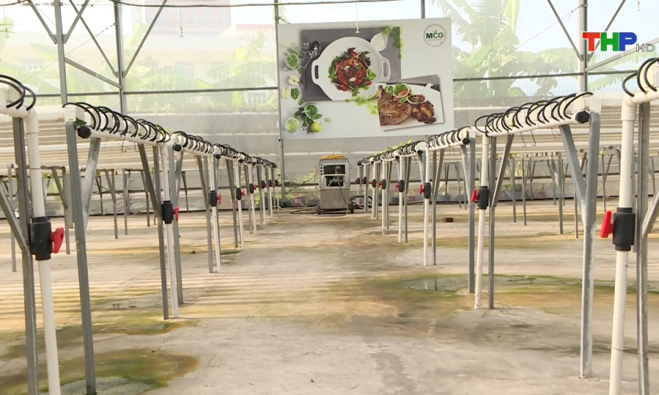 N&ocirc;ng th&ocirc;n mới Hải Ph&ograve;ng: Hiệu quả ứng dụng tiến bộ khoa học kỹ thuật v&agrave;o sản xuất n&ocirc;ng nghiệp