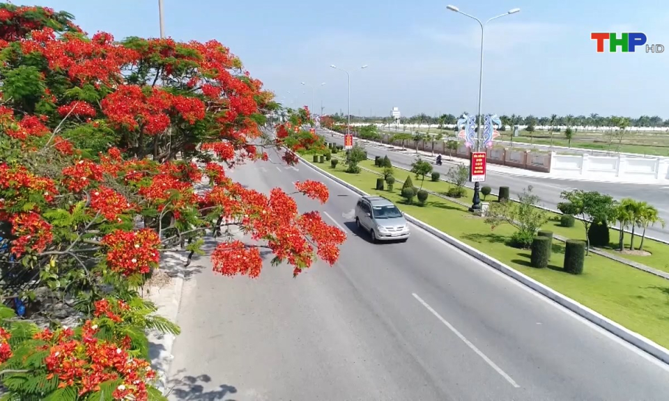 Hải Phòng văn hóa và sự kiện: Những bông phượng đỏ