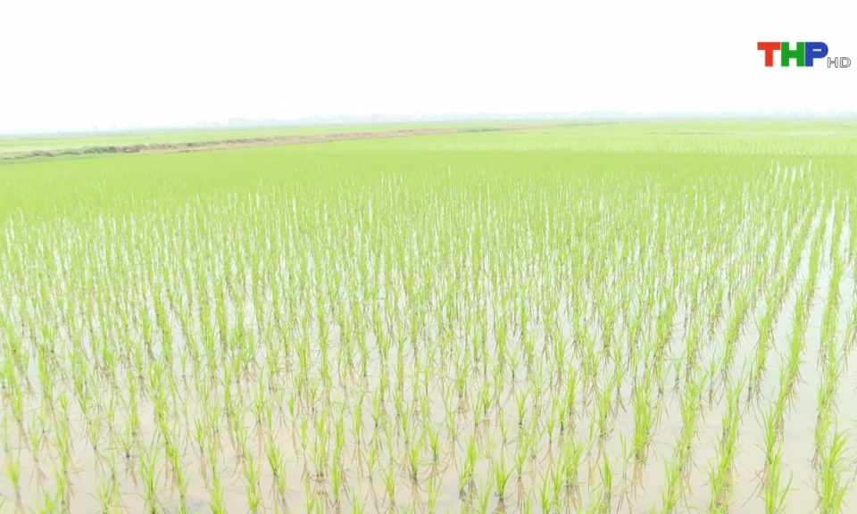 10 ph&uacute;t v&agrave;ng (03/05/2025)