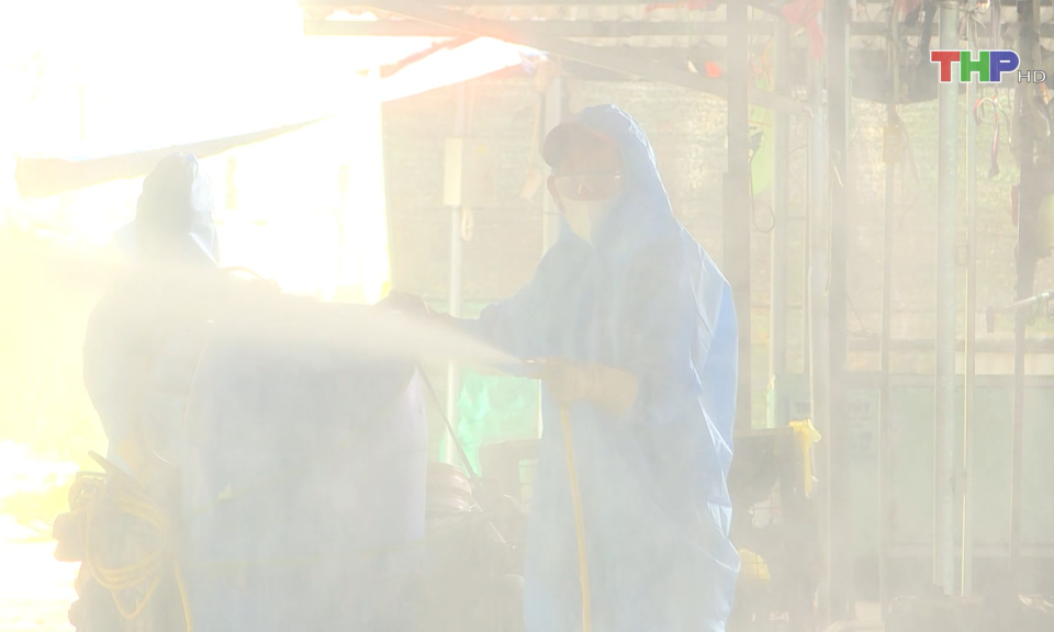 Chủ động ph&ograve;ng chống dịch bệnh cho gia s&uacute;c, gia cầm