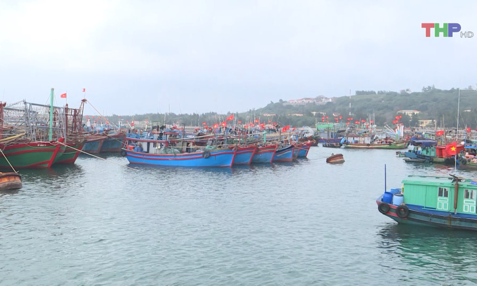 L&ugrave;i thời gian kiểm tra IUU đối với thủy sản Việt Nam 