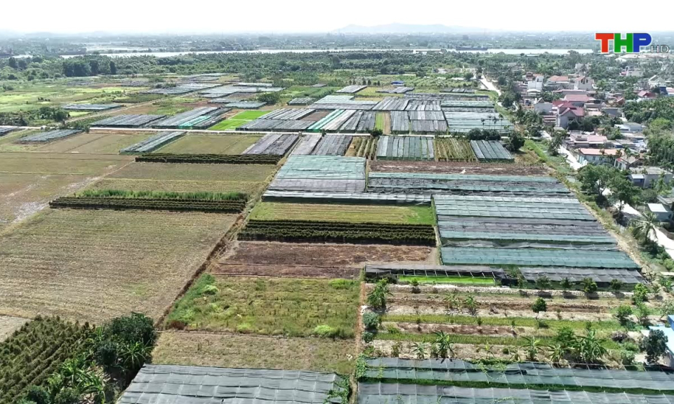 Kinh tế và đô thị: Điểm tựa cho các Hợp tác xã phát triển bền vững