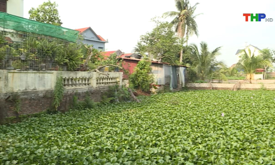 Hộp thư truyền hình: Xung quanh kiến nghị về cấp giấy chứng nhận quyền sử dụng đất tại xã Tân Hưng, huyện Vĩnh Bảo