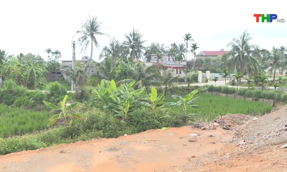 Pháp luật và cuộc sống: Xử lý theo quy định của pháp luật về quản lý đất công ích tại huyện Vĩnh Bảo