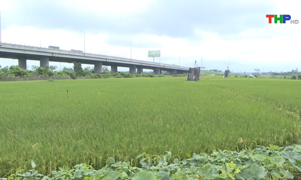 Bản tin Hải Phòng hôm nay (23/05/2025)