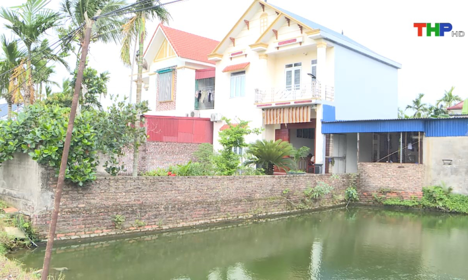 Hộp thư truyền hình: Kiến nghị tranh chấp đất liền kề ở xã Tân Minh, huyện Tiên Lãng