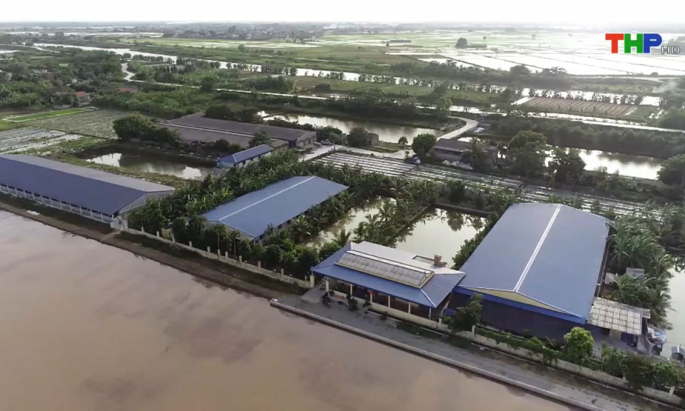 Bản tin thời sự sáng (26/05/2025)