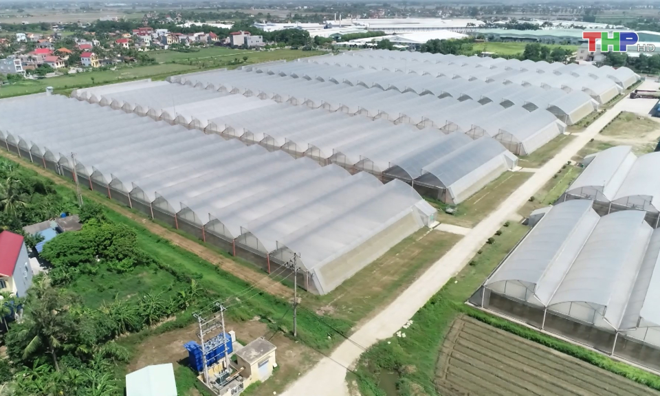 Th&aacute;o gỡ kh&oacute; khăn trong ph&aacute;t triển sản xuất n&ocirc;ng nghiệp