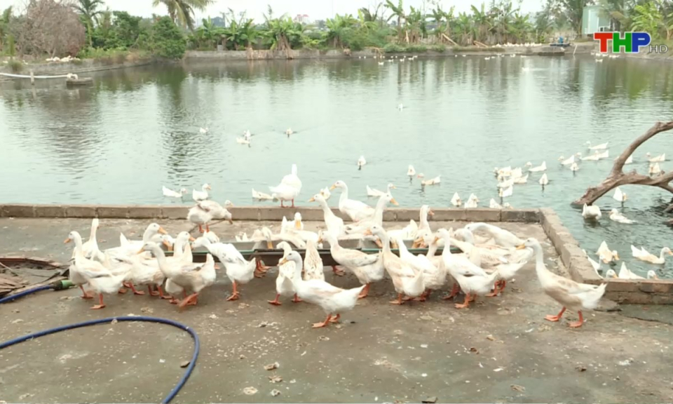 Bản tin thời sự sáng (27/05/2025)