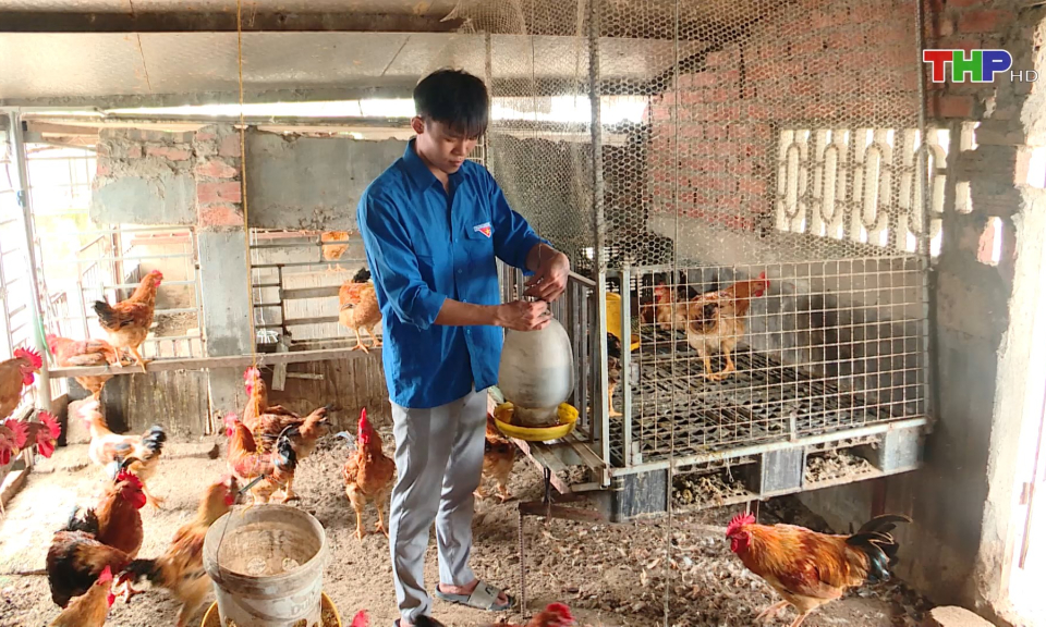 Phát huy hiệu quả chương trình đồng hành với thanh niên lập thân, lập nghiệp