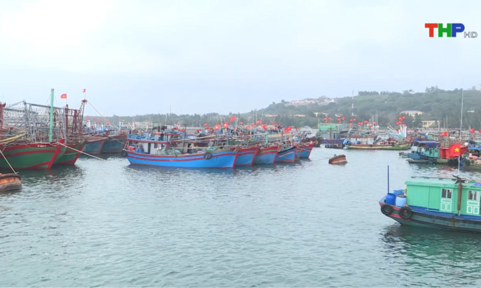 Bản tin tiếng Anh (27/05/2025)