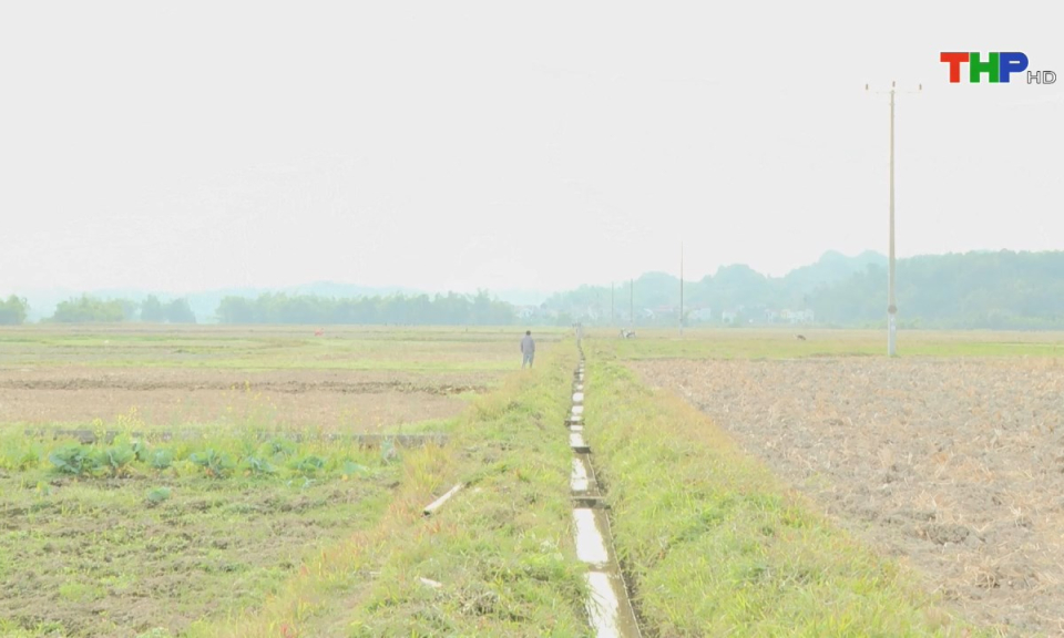 Bản tin Hải Phòng kết nối (30/05/2025)