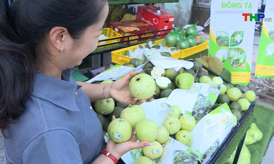 Điểm hẹn du lịch: Món quà đất Cảng