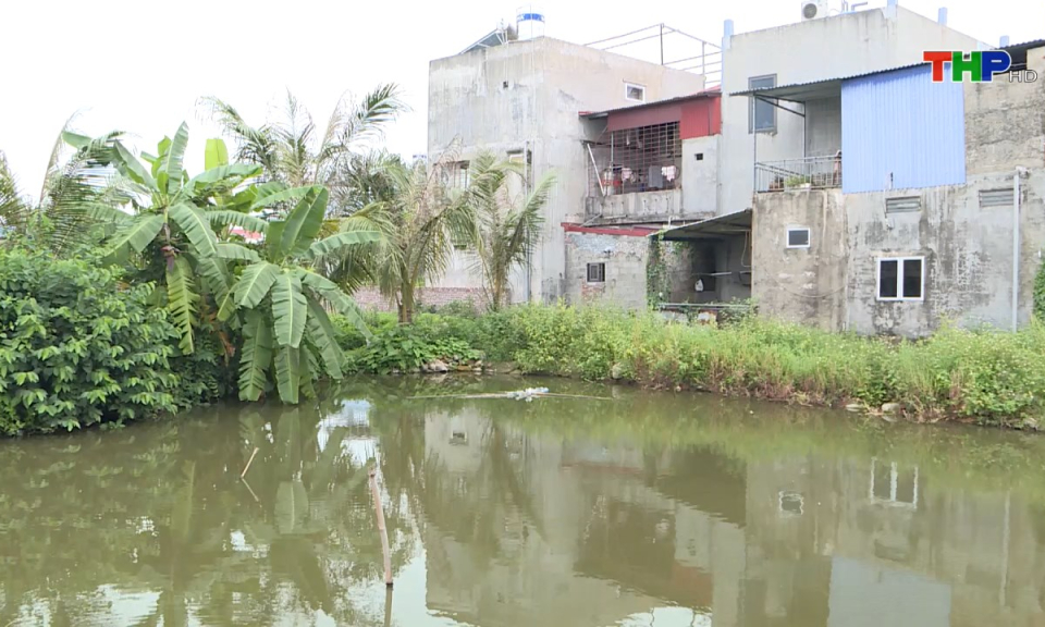 Hộp thư truyền hình: Tranh chấp đất đai tại xã An Thọ, huyện An Lão