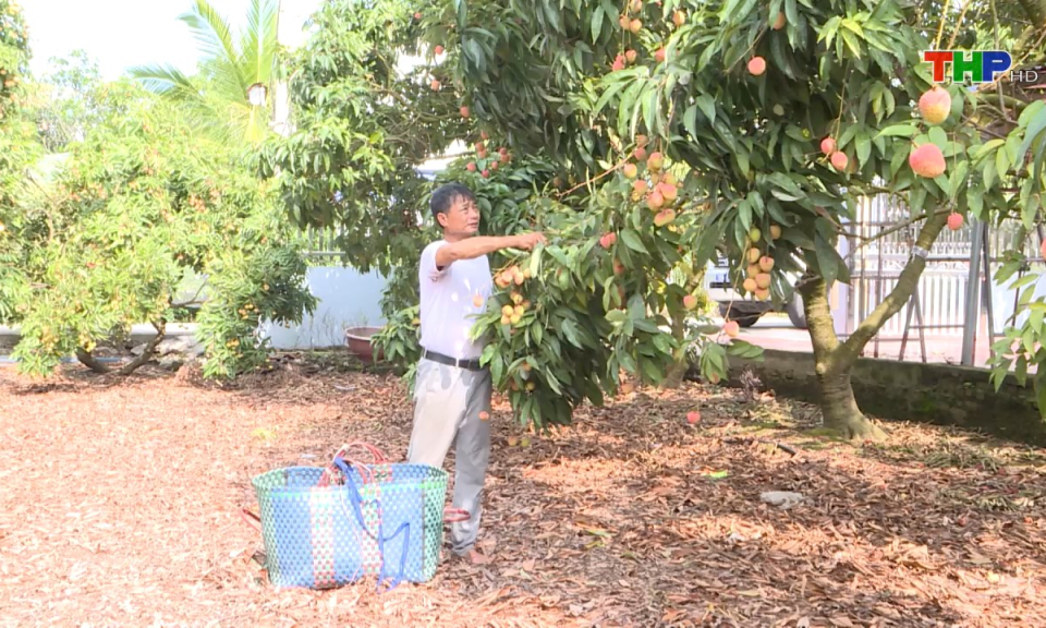 Tạp chí kinh tế: Gỡ “nút thắt” để nông nghiệp hướng đến quy mô sản xuất hàng hóa