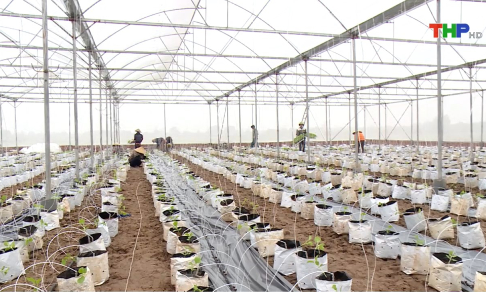 Bản tin thời sự tối (01/06/2025)