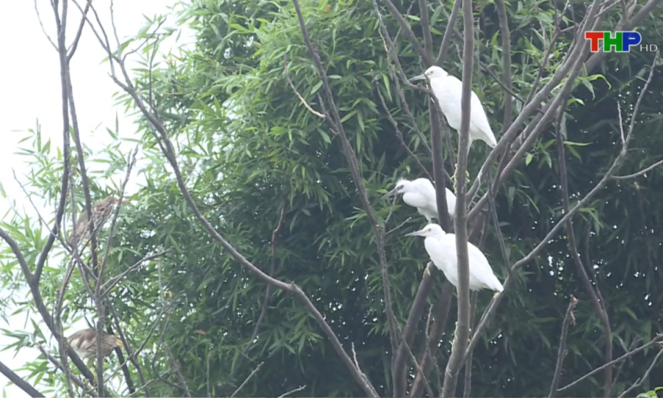 Bản tin thời sự sáng (03/06/2025)