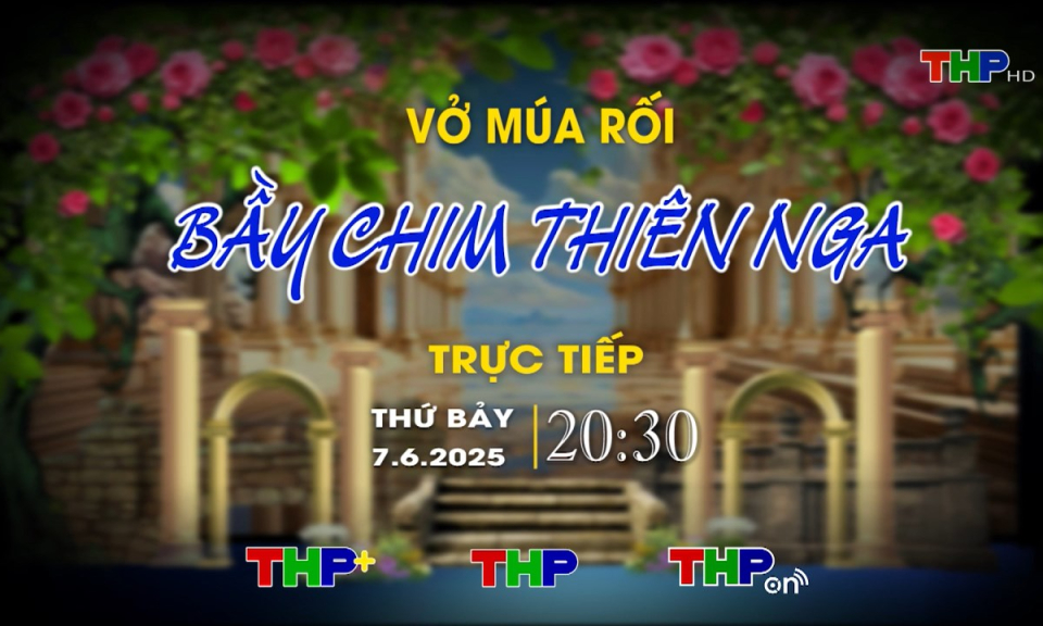 Rao sóng Sân khấu truyền hình (Số 65): Bầy chim thiên nga