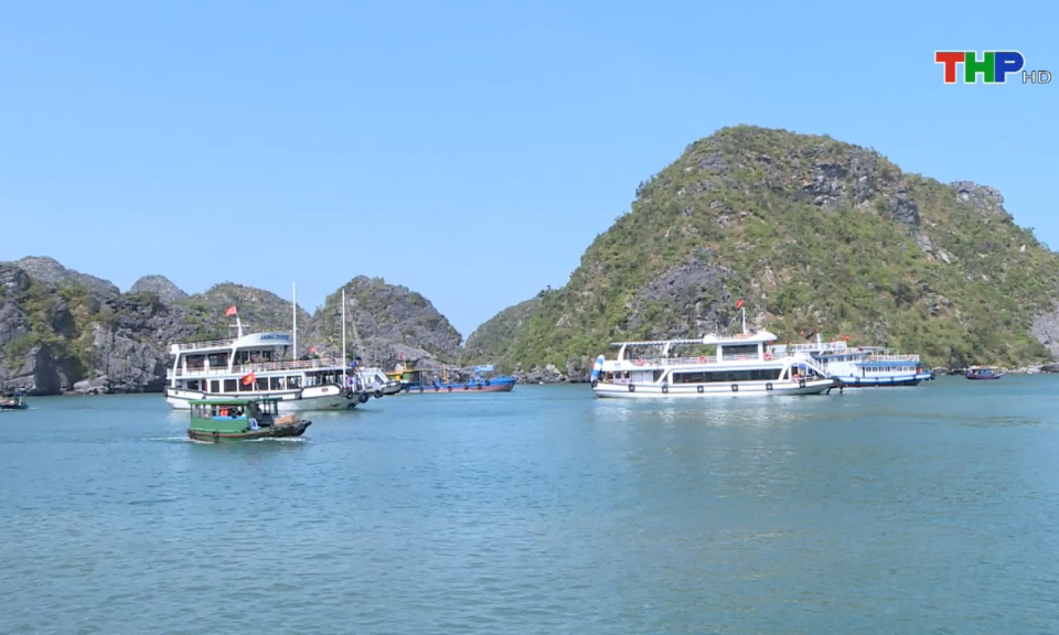Bản tin Hải Phòng hôm nay (04/06/2025)