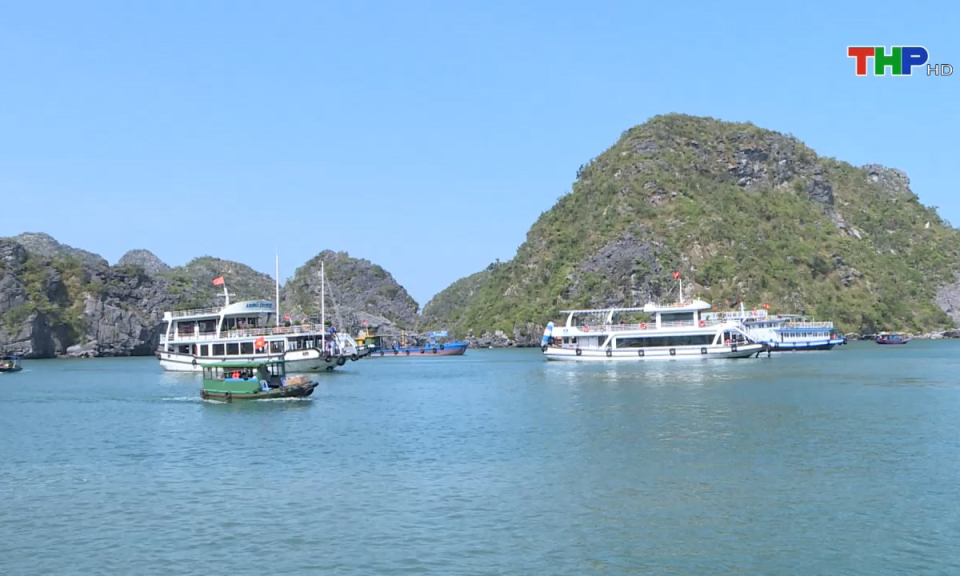 Bản tin tiếng Anh (05/06/2025)