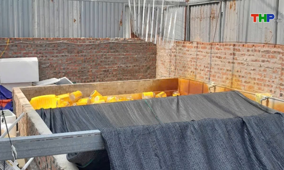 Hộp thư truyền hình: Xung quanh kiến nghị của anh Bùi Bá Thư ở phường Tràng Cát, quận Hải An