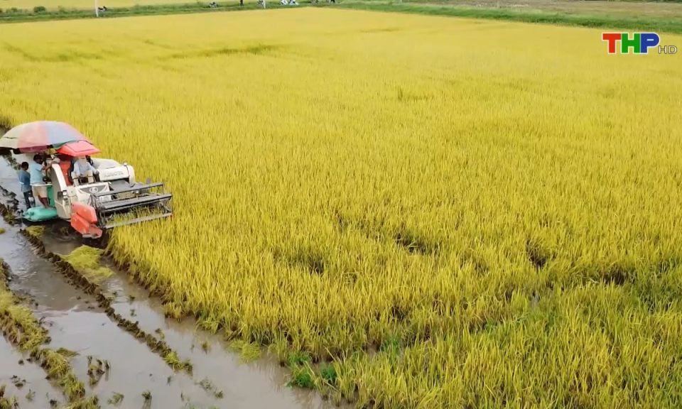 Bản tin thời sự sáng (15/06/2025)