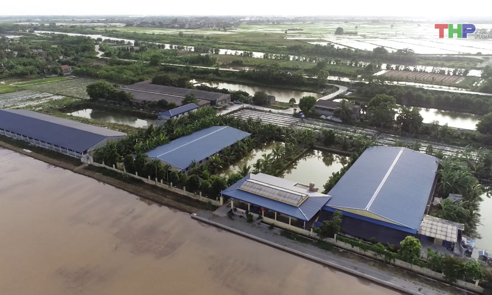 Hỗ trợ vốn cho các HTX phát triển