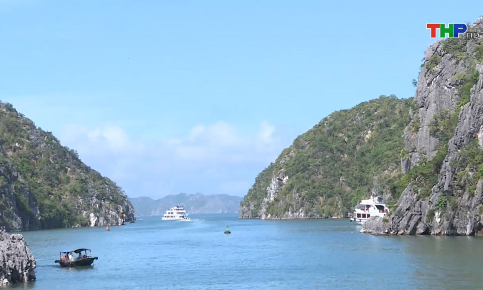 Bản tin tiếng Anh (19/06/2025)