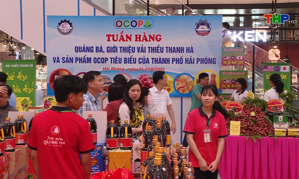Chủ động giải pháp kết nối thương mại Hải Phòng - Hải Dương