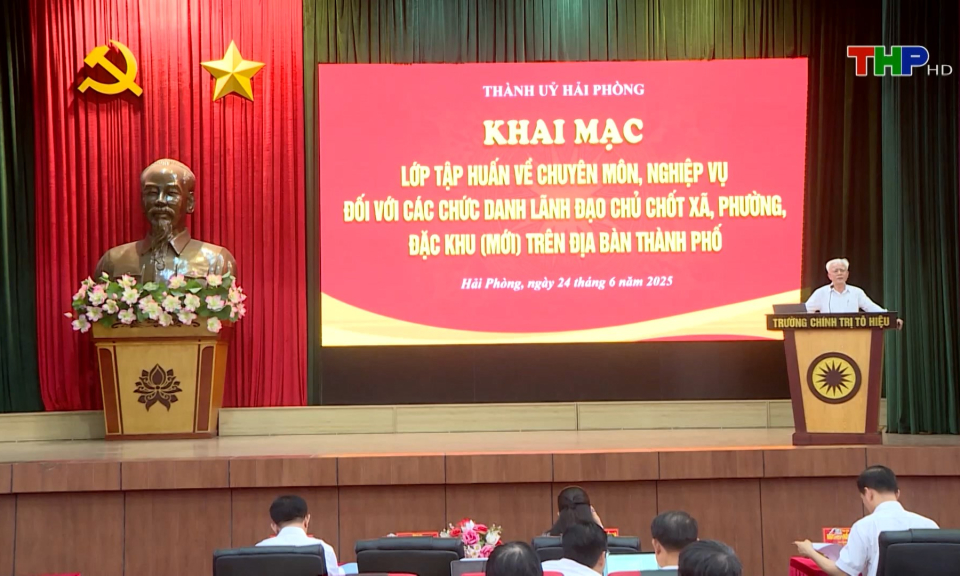 Tập huấn chuy&ecirc;n m&ocirc;n, nghiệp vụ cho c&aacute;n bộ chủ chốt c&aacute;c x&atilde;, phường, đặc khu